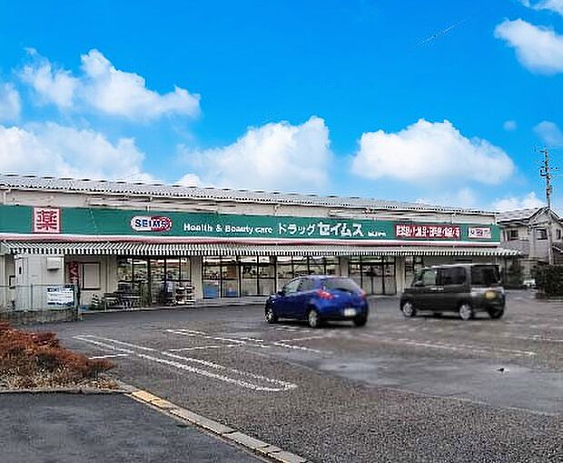 ドラッグストア 1000m ドラッグセイムス 柏花野井店