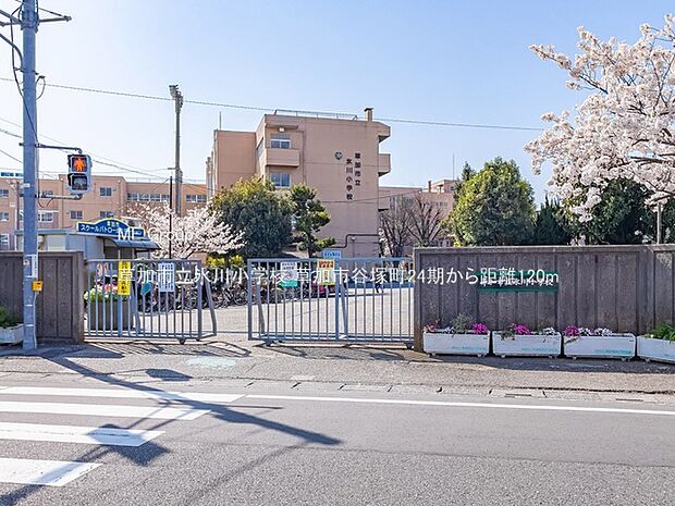 小学校 120m 草加市立氷川小学校