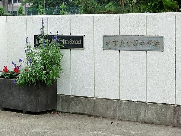 中学校 850m 柏市立中原中学校