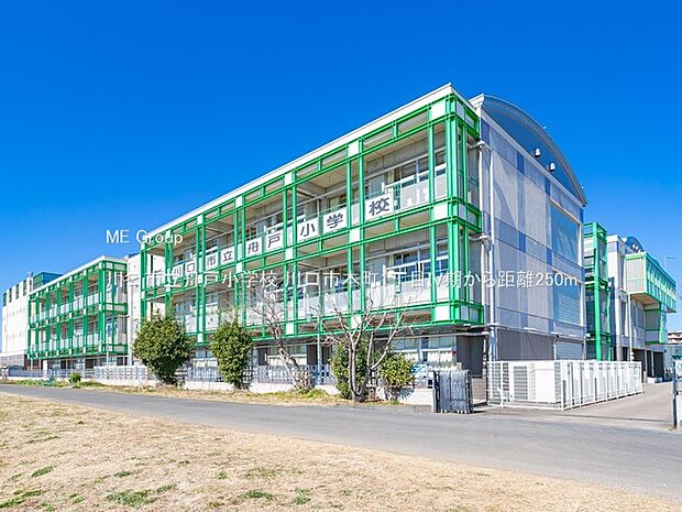 小学校 250m 川口市立舟戸小学校