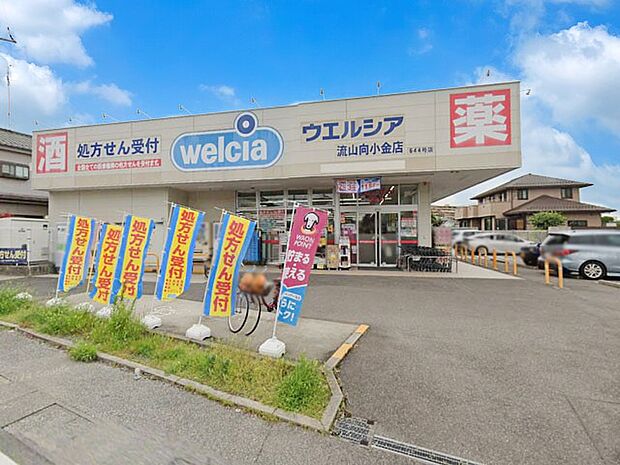 ドラッグストア 300m ウエルシア流山向小金店