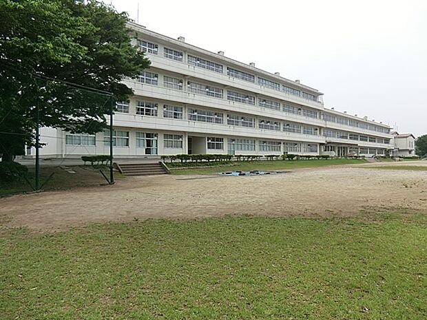 中学校 550m 野田市立岩名中学校