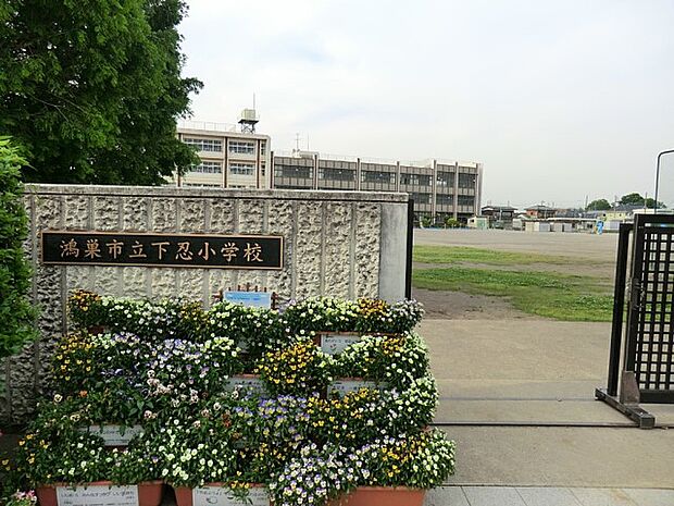 小学校 600m 鴻巣市立下忍小学校