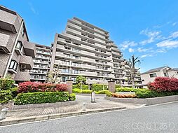 アメニクス川口