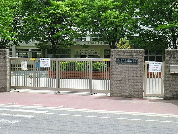 小学校 880m 川口市立東領家小学校