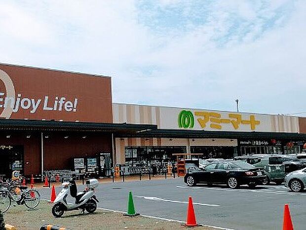 スーパー 1100m マミーマート 柏旭町店