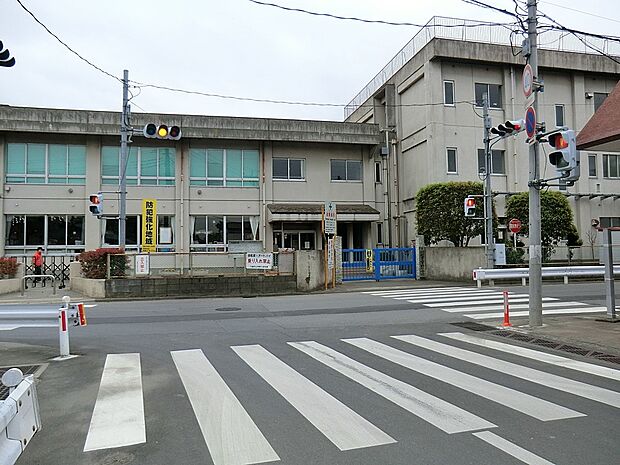 小学校 2100m 芳野小学校
