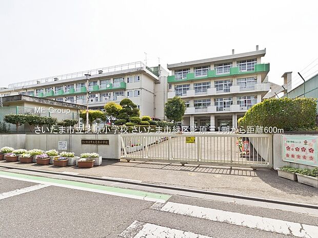 小学校 600m さいたま市立芝原小学校