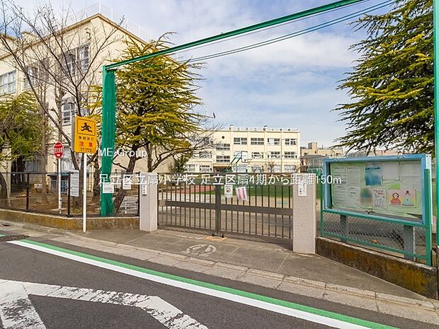 小学校 150m 足立区立扇小学校