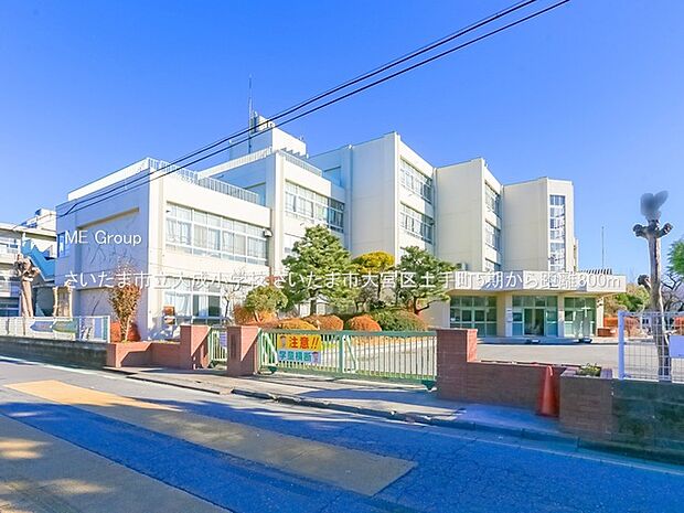 小学校 800m さいたま市立大成小学校