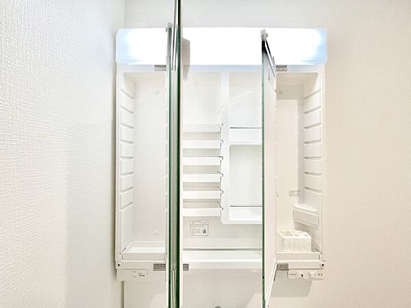三面鏡の裏に、化粧品や衛生用品などを収納可能。洗面台をすっきりと保ちます！