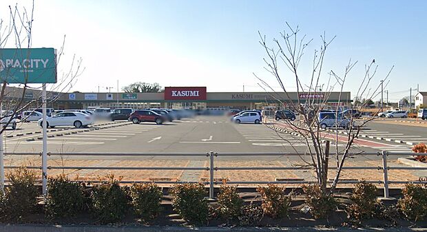 スーパー 174m カスミ フードスクエア 大利根店