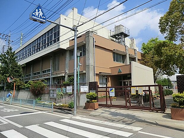 小学校 300m 川口市立芝西小学校