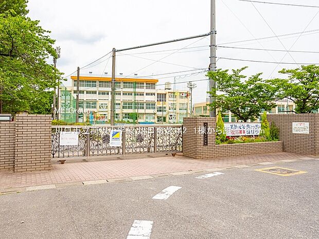 小学校 1060m 川口市立前川小学校