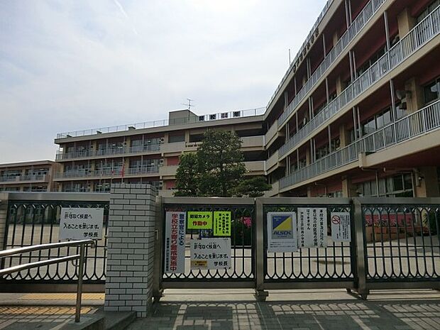 小学校 1100m 戸田市立戸田南小学校