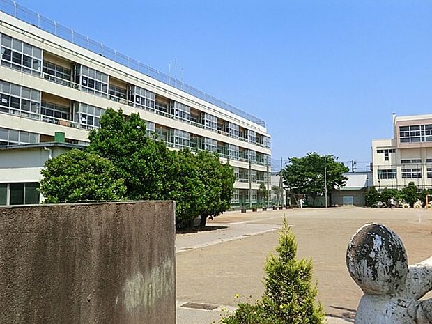小学校 300m 川口市立芝中央小学校