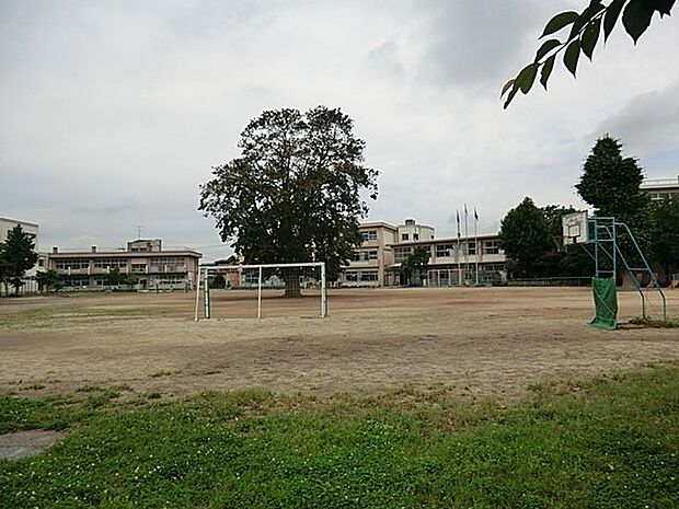 小学校 950m 宮代町立須賀小学校