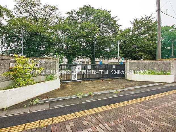 小学校 300m 上尾市立芝川小学校