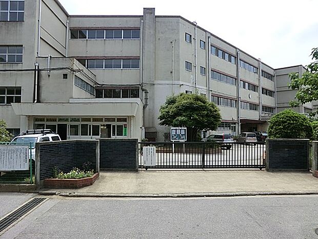 小学校 300m 松戸市立八ケ崎小学校