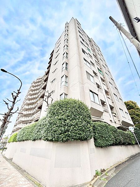 外観：313004819597