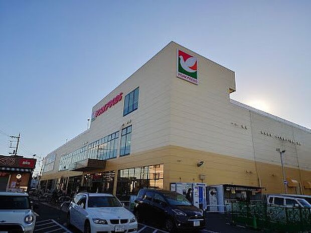 スーパー 900m ヨークフーズ中浦和店