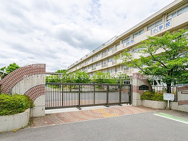 小学校 650m さいたま市立新開小学校