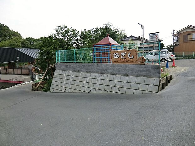 幼稚園・保育園 600m 根岸幼稚園
