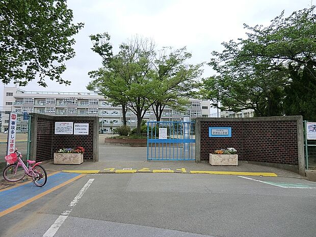 小学校 800m 川口市立新郷東小学校