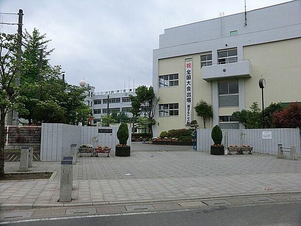 中学校 500m 川口市立榛松中学校