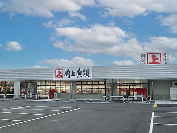 スーパー 1200m 角上魚類 越谷店