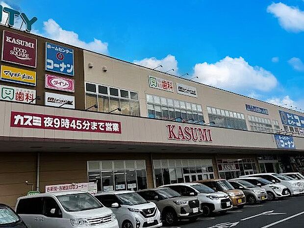 ショッピングセンター 1200m ピアシティ柏中新宿