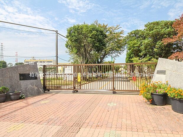 中学校 2960m 柏市立富勢中学校