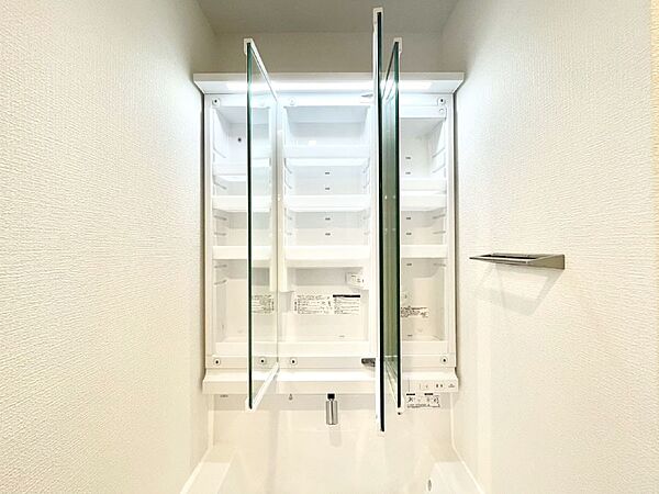 三面鏡の裏に、化粧品や衛生用品などを収納可能。洗面台をすっきりと保ちます！