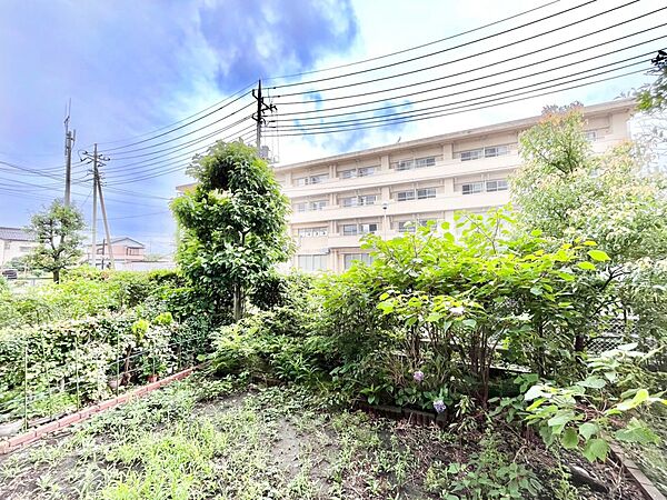 バルコニーからの眺望です