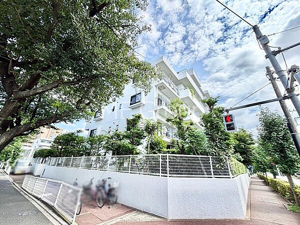 溢れる陽光でご家族の笑顔も輝く