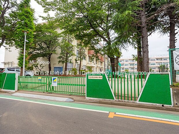 小学校 300m 川口市立柳崎小学校
