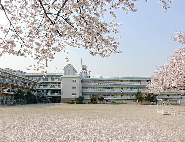 小学校 1000m 和光市立新倉小学校
