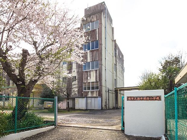 小学校 757m 柏市立酒井根西小学校