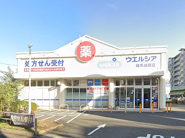 ドラッグストア 500m ウエルシア練馬谷原店