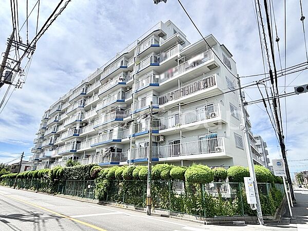 溢れる陽光でご家族の笑顔も輝く