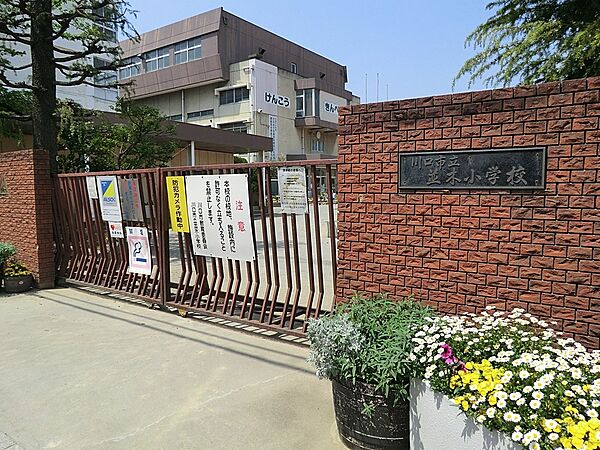 小学校 450m 川口市立並木小学校