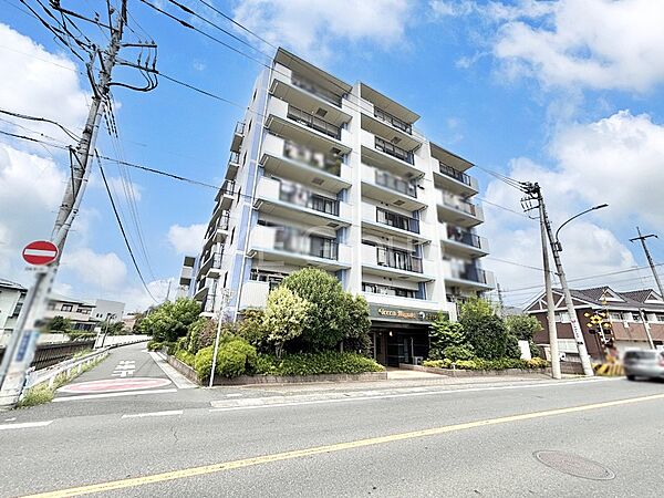 溢れる陽光でご家族の笑顔も輝く