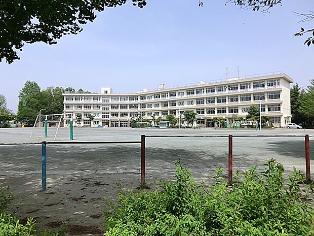 小学校 800m 所沢市立若狭小学校
