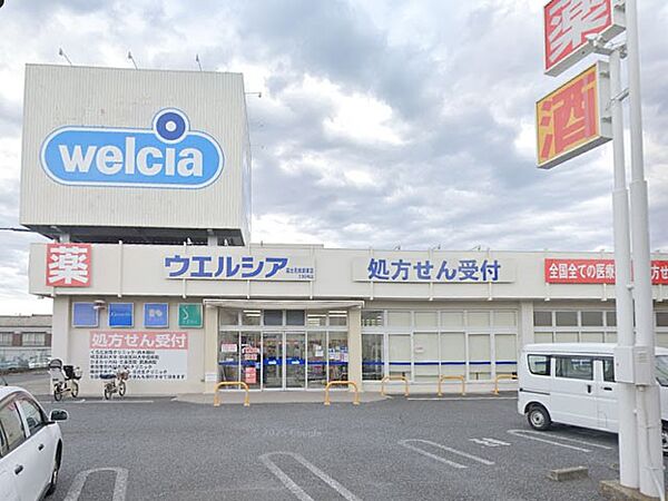 ドラッグストア 300m ウエルシア富士見鶴瀬東店