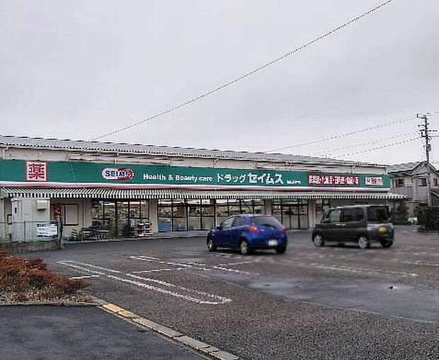 ドラッグストア 600m ドラッグセイムス 柏花野井店