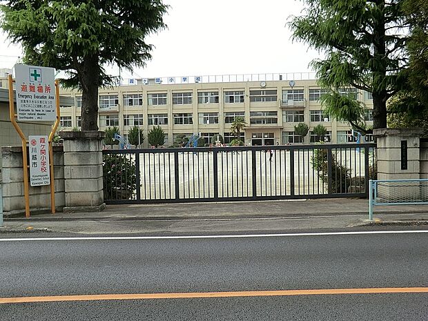 小学校 700m 川越市立霞ケ関小学校