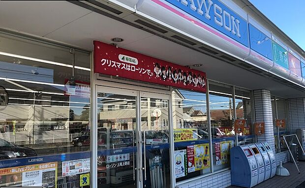 コンビニ 260m ローソン 上尾上野店