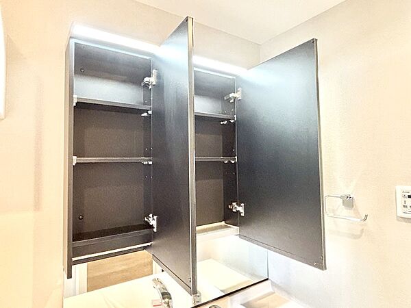 三面鏡の裏に、化粧品や衛生用品などを収納可能。洗面台をすっきりと保ちます！