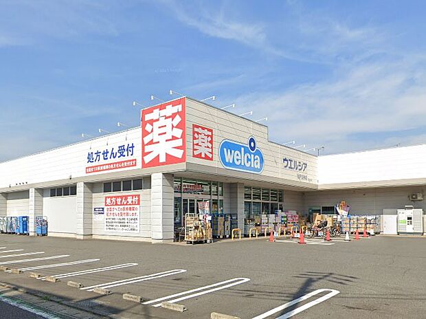 ドラッグストア 500m ウエルシア松戸五香店
