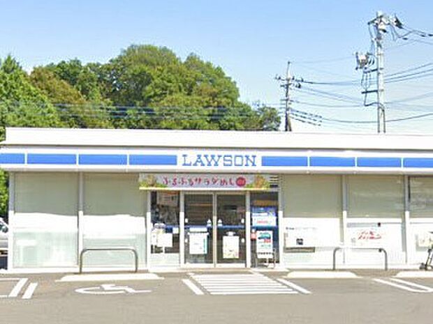 コンビニ 700m ローソン さいたま大谷店